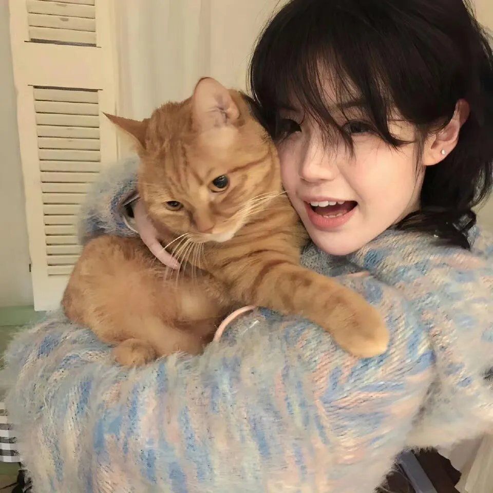 猫咪咖啡厅